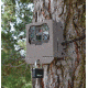 Stealth Cam Security / Bear Box for ZX SERIES, Box STC-BBZX