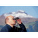 Steiner 10.5 x 28 Wildlife Pro Binoculars