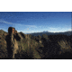 Steiner 10x26mm Safari Pro Binocular