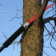 Stoney Point Limb Saw Attachment E-112