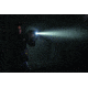 Streamlight TLR-1 HL LED Rail-Mounted Tactical Flashlight, 800 Lumens w/Lithium Batteries, Black, 69260