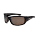 Sunbelt Phaze Sbp Polarized Assorted 181P