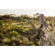 Swagger Stalker Lite Bipod, Black, SWAG-ST-LITE