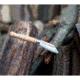 Swiss Advance JACK Penny Knife