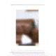 Tactical Walls 1420 Sliding Mirror Bundle, Inserts Mirror Cover, 2 Large Attachment Magnets, White, BM20SLWTBKMRN52