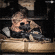 Tacticon Armament Apex Falcon 1-6x24mm 30mm Tube First Focal Plane LPVO Rifle Scope, Illuminated Mil Reticle with Windage/Elevation, Black, APXFALC16X24
