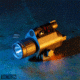 Tacticon Armament Firefly V1 Pistol and Rifle Laser/Flashlight Combo, Red Laser, Black, FRL10