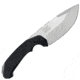 Takumitak Companion Fixed Blade Knife, 4in, D2, Drop Point, G10 Handle, Silver, TKF212SL