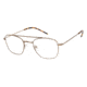 TLG NU036 Progressive Prescription Eyeglasses - Frame BRUSHED GOLD, Size 51/21mm LYNU03601