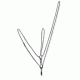 Trango Ultratape Alpine Equalizer, 6 ft. 100182