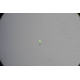 Trijicon ACOG 4x32 Rifle Scope, Black w/TA51 Flattop Mount &amp; Illuminated Green Chevron BAC Reticle