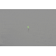 Trijicon ACOG 4x32 Rifle Scope, Black w/TA51 Flattop Mount &amp; Illuminated Green Chevron BAC Reticle