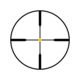 Trijicon AccuPoint TR-24 1-4x24mm Rifle Scope, 30 mm Tube, Second Focal Plane, Black, Amber Standard Duplex Crosshair w/ Dot Reticle, MOA Adjustment, 200070