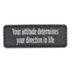 Tru-Spec Your Attitude Determines Morale Patch - 6683