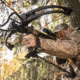 TruGlo Hip Shot Crossbow Shooting Rest, Black, TG-TG8930XB