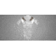 UARM CAM Collarbone Armor Module,Type IIA Threat Level, Multicam, CAMM-SACAM2A