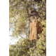 Vanish Quick Set Blind Rig, Mossy Oak Break-Up Country Camo, 50 X 96in, 5219