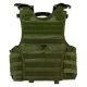 VISM Vism Expert Plate Carrier Vest, Green, Extra Small, CVPCVXC2963G