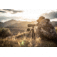 Vortex High Country II Tripod Kit, Black, 5x5x26.25, TR-HCY