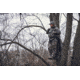 Vortex Razor UHD 8x32mm Binocular, Green, 9.37x8.25x4.75, RZB-0832