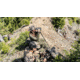 Vortex Razor UHD 10x50mm Abbe-Koenig Prism Binocular, Green, 4.5x8.12x9.75, Full-Size, RZB-3105