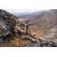 Vortex Summit Carbon II Tripod Kit, Black, 4.125x4.125x19.75, TR-SMC