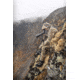 Vortex Summit Carbon II Tripod Kit, Black, 4.125x4.125x19.75, TR-SMC