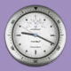 VWR Indoor/Outdoor Clock 1078