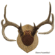 Walnut Hollow Antler Mounting, Kit Solid Oak 38324
