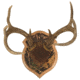 Walnut Hollow Deluxe Antler, Display Kit Camo 40591