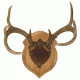 Walnut Hollow Deluxe Antler, Display Kit Oak 40755