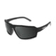 WarBird Sleeper Cell Glasses, Black Frames/Smoke Lens, EYSCBKSM