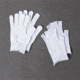 Wells Lamont One-Size-Fits-All Nylon Glove Liners, Wells Lamont M088