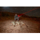 Wicked Hunting Lights W403iC Deluxe Night Hunting Light Kit, Green/Red/White, W2015