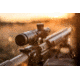 Zeiss Conquest V4 1-4x24 Plex Illum. Reticle, Capped Elevation Turret .50 MOA , Fixed Parallax, 522905-9960-000