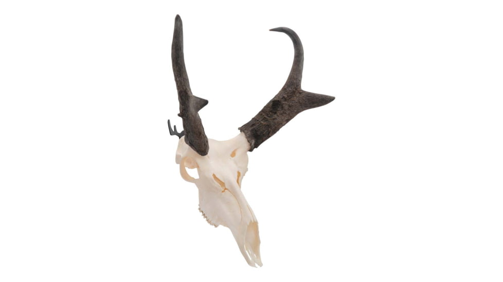 Allen Trophy Wall Hook 2 Pack, 5625