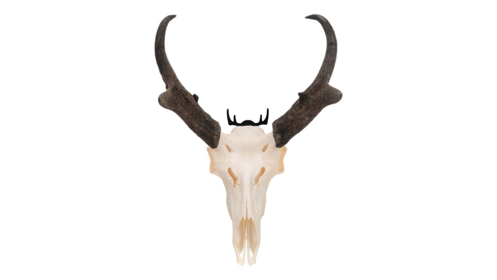 Allen Trophy Wall Hook 2 Pack, 5625