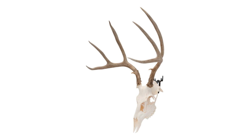 Allen Trophy Wall Hook 2 Pack, 5625