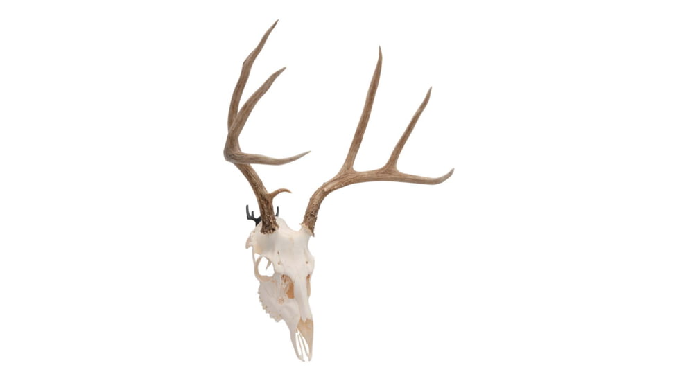 Allen Steel Trophy Wall Hook Set, 1/8in Thick, Permissible 15 Pounds, 2 Hooks-Pack, Black, 5625