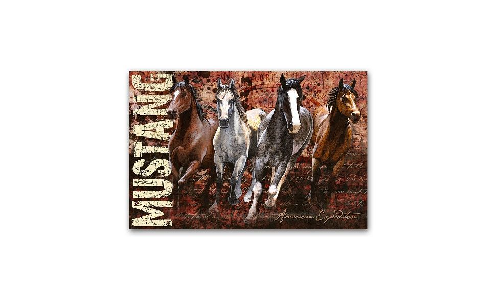 American Expedition Mustang Graphic Canvas Art, 23.6in x 15.7in 4001024