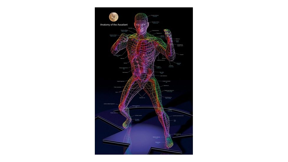 ASP Training Support Reference Posters in Shipping Tube / Framed