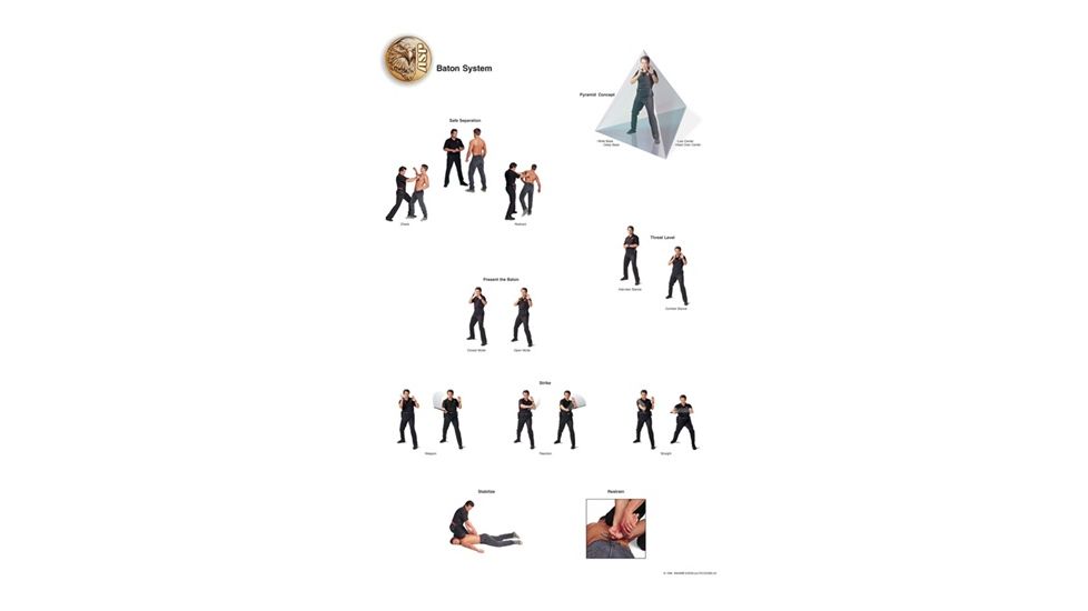 ASP Training Support Reference Posters in Shipping Tube / Framed