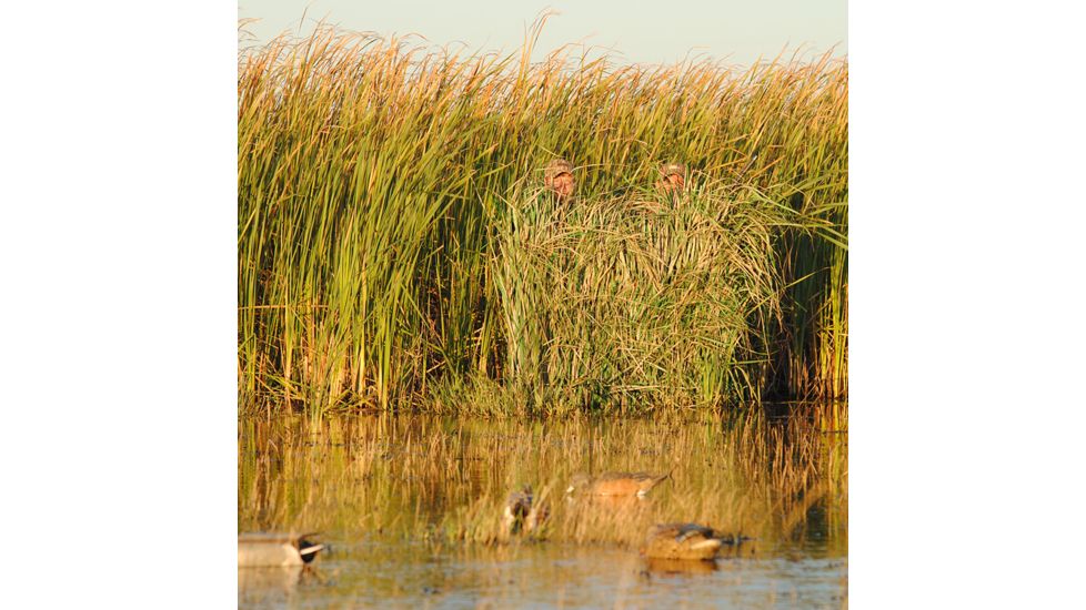 Avery Outdoors Real Grass,Early Season Green 4-Pack Bag 39010