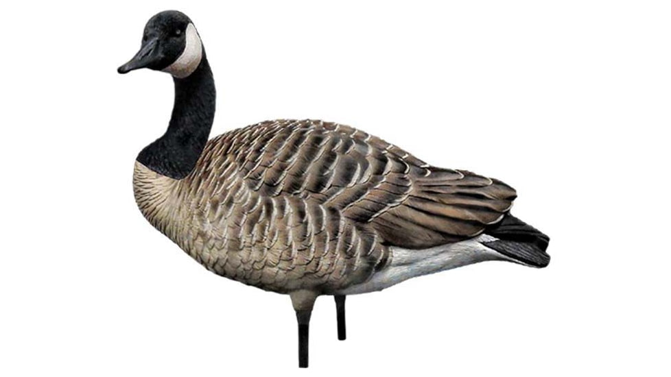 Avian X AXP Goose Decoys, Fusion Honker 6 pk, AVX-AVX9006