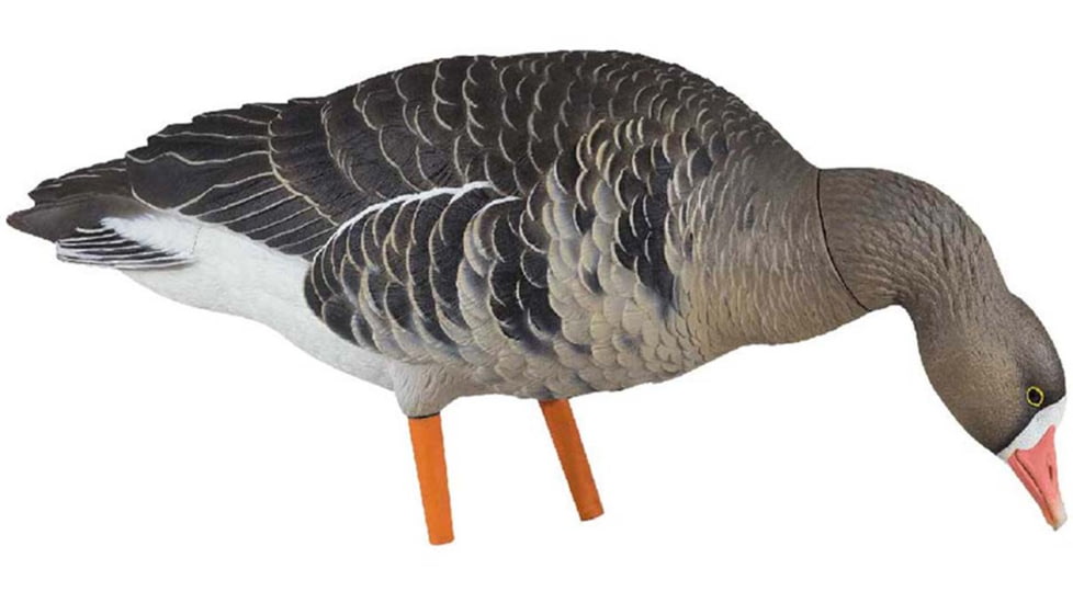 Avian X Fusion Pack AXF Specklebelly Decoy, AVX-AVX9019
