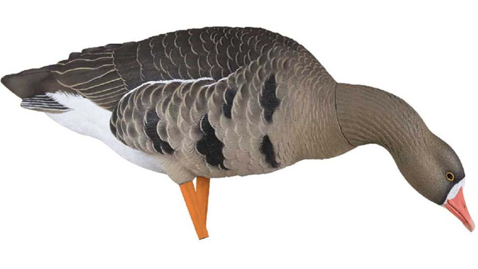 Avian X Fusion Pack AXF Specklebelly Decoy, AVX-AVX9019