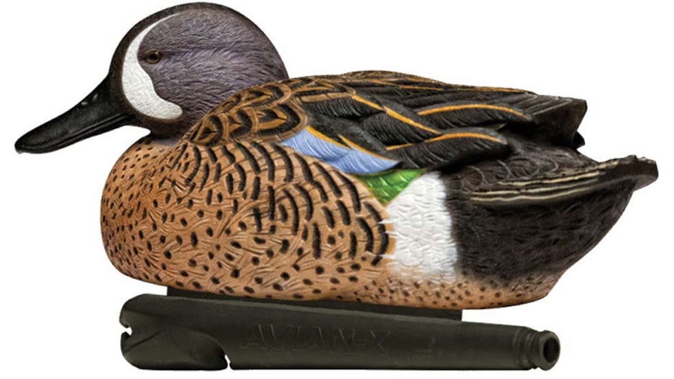 Avian X Topflight Blue-Winged Teal Decoy, AVX-AVX8080