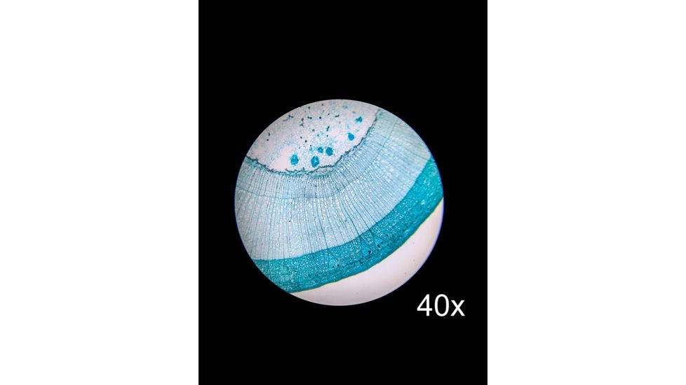 Barska Student Monocular Compound 800x Microscope, White, Small AY13110