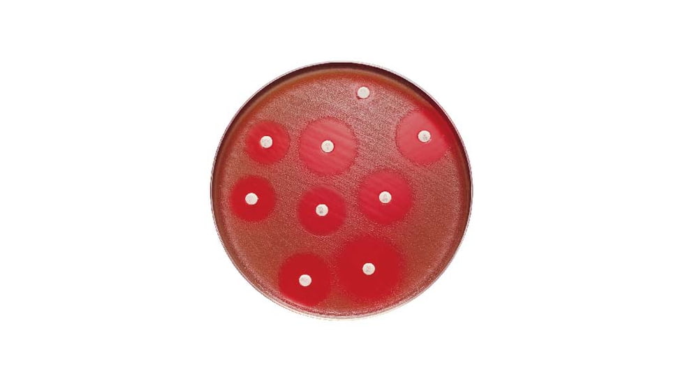 BD Antibiotics and AntimycoticsNorfloxacin to Vancomycin, BD Diagnostics 231344 Tetracycline, 30 ug