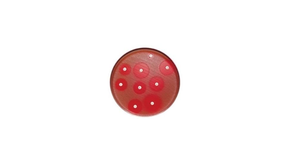 BD BBL Sensi-Disc Antimicrobial Susceptibility Test Discs, BD Diagnostic Systems 231621 Cefuroxime